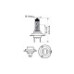 Set 2 becuri H7 Philips White Vision 12v 55W