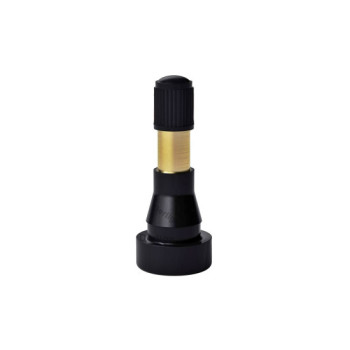 Valva auto tubeless lugime 45mm pentru jante auto Valva auto tubeless lugime 45mm pentru jante auto