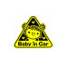 Abtibild Baby in Car auto decorativ pentru exterior 