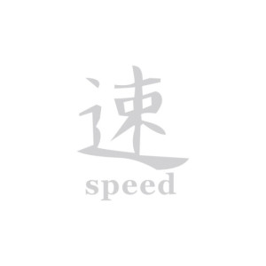 Abtibild Speed alb reflectorizant auto decorativ pentru exterior si interior 