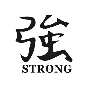 Abtibild Strong auto decorativ pentru exterior si interior diverse culori Abtibild Strong auto decorativ pentru exterior si interior diverse culori