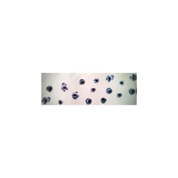 Abtibild Gloante auto decorativ pentru exterior si interior Abtibild Gloante auto decorativ pentru exterior si interior