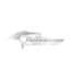 Abtibild Tigershark diverse culori auto decorativ pentru exterior si interior Abtibild Tigershark diverse culori auto decorativ pentru exterior si interior