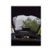 Perdele auto interior 5 bucati compatibile Skoda Fabia I Sedan 1999-2007 Perdele auto interior 5 bucati compatibile Skoda Fabia I Sedan 1999-2007