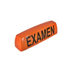 Caseta auto tip examen scoala de soferi universala pentru plafon 42cm