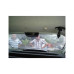 Perdea auto interior pentru luneta compatibila Dacia Logan I 2004-2012 Perdea auto interior pentru luneta compatibila Dacia Logan I 2004-2012